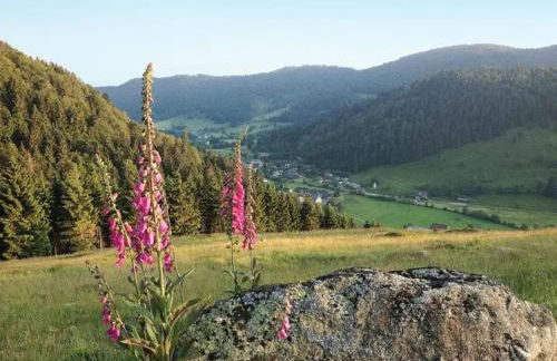 Apartment Schwinbachblick mit 2 Balkonen - Foto 15