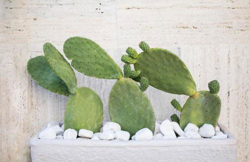 Il mare di fronte “Casa Smeraldo” - Foto 33