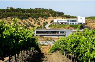 Casa da Matriz - Foto 111