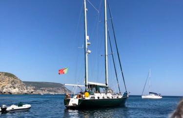 Pearl Sesimbra - Foto 49