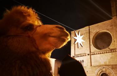 Alloggio Turistico Gasparrini - Foto 20