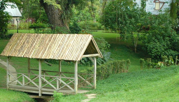 Excursion à Lopinot