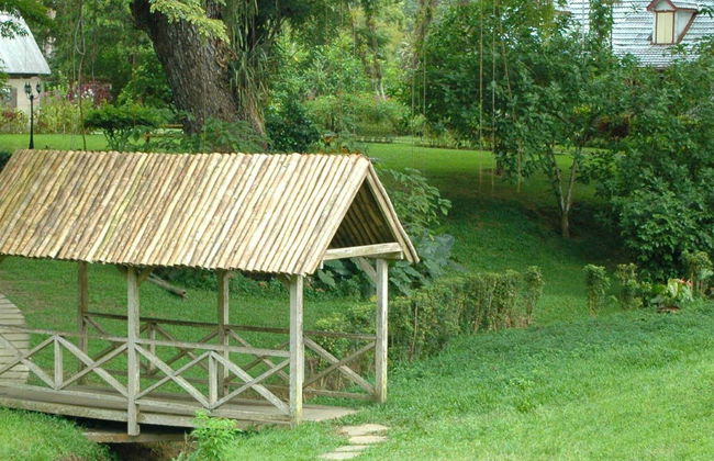 Excursion à Lopinot - Photo 4