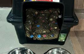 Casa Brisa do Amanhecer - Foto 30