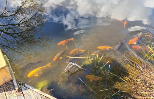 The Reading apartment with gardens, suitable for contractors - Photo 18