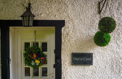Country Cottage Annex (The Cwtch) - Foto 22