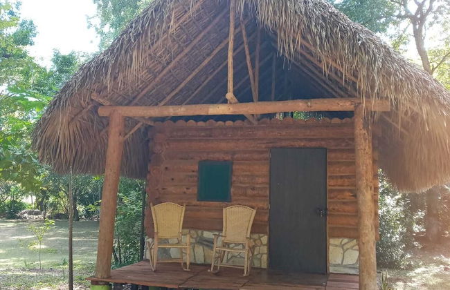 Room in Cabin - Sierraverde Cabins Huasteca Potosina - Foto 7