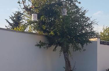 Casa vacanza Augusto - Foto 32