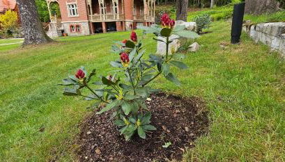 Willa Trebla - Foto 2, Garden, Garden view