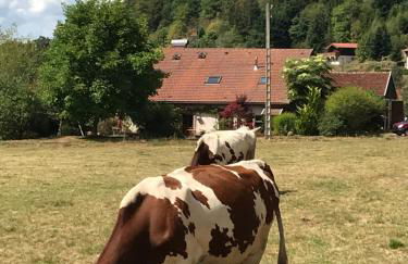 Gîte de la Mésange - Foto 34