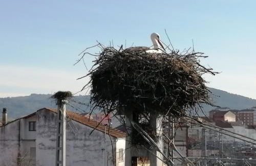 Apartamento Lemavos - Foto 22