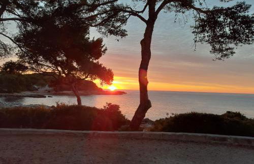 Can Caragol - Photo 4