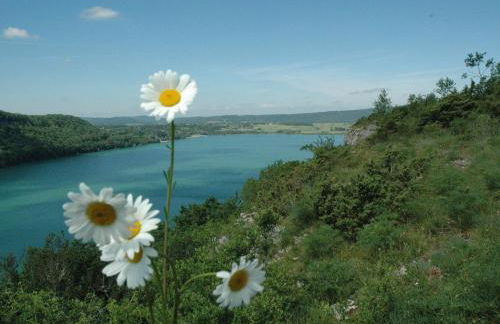 gîtes des planchettes - Foto 10