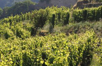 Gite des 5 cigognes rouge - Foto 20