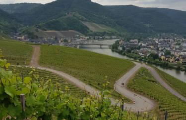 Apartment an der Mosel 1 - Foto 55