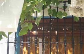 Cortijo Relatillos - Foto 16