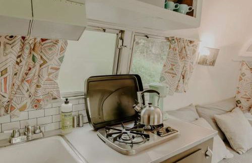 Streamside ShinyTiny Airstream in the Smokies - Foto 20