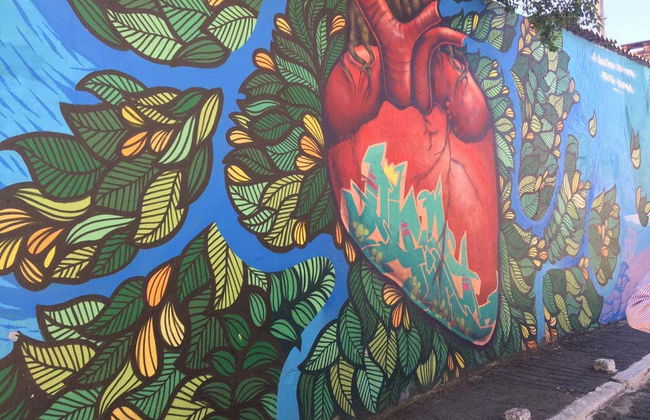 Tour panoramico di San Paolo - Foto 5