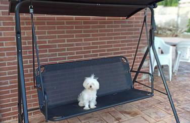 Las Yucas rural house - Foto 46