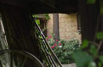 Leśny kasztel pod sosnami. Pokój w koronach drzew. - Foto 27