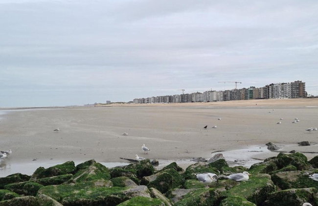 Apartment in St. Idesbald Near the Sea - Foto 36