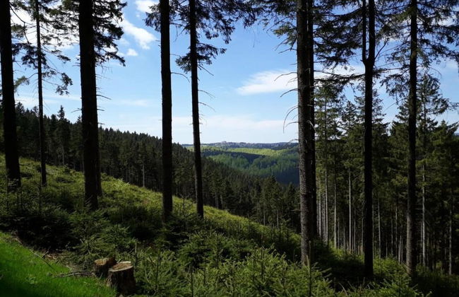 Small and Cozy Apartment in Frauenwald near Forest - Foto 41