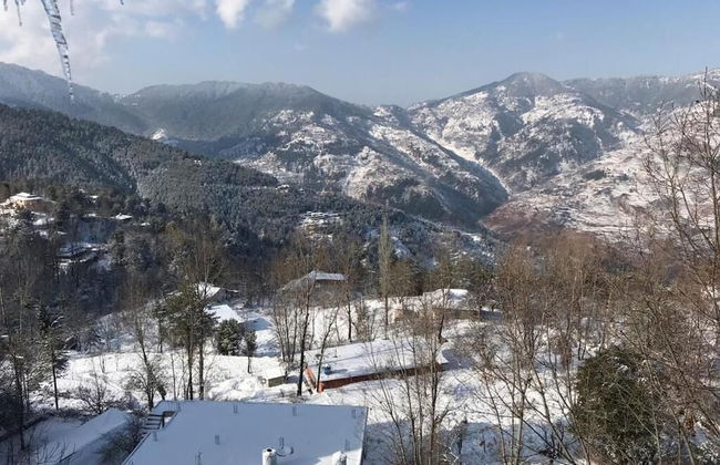 Green Valley Apartments - Photo 21