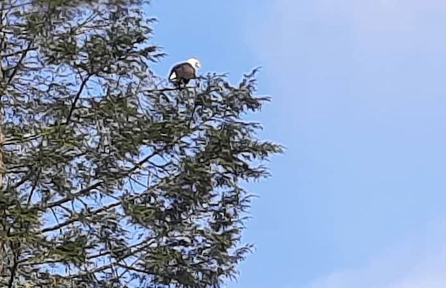 Pocono Dog-Friendly Home on River - Foto 52