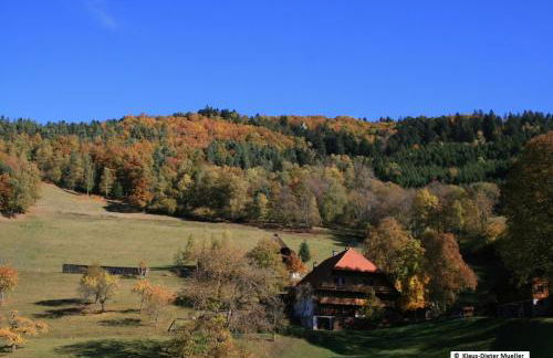 Haus am Waldrand - Foto 22