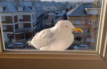 L'amoureuse - Foto 1