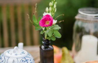 Fährhauslodges Natur in Sicht - Foto 16