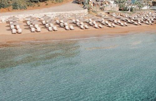 Olive House near the sea - Foto 14