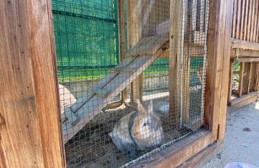 Letnia Oaza "Akacja" - Foto 30