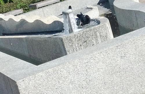 Dreapart Pruszcz gdański - Foto 14