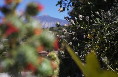 La Casa de Rita - Foto 19