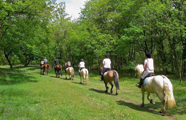 Agriturismo Relais Tenuta il Cigno - Foto 35