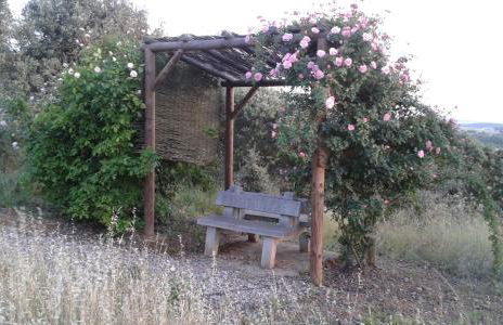 Holiday home Monte das Azinheiras - Foto 44