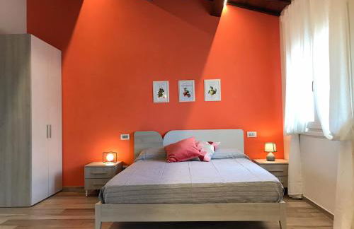 Podere Baratta agriturismo e cantina - Foto 17