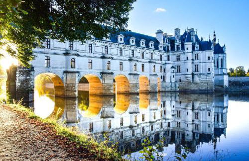 Domaine des Aulnaies - Beauval - Mareuil sur Cher - Foto 61