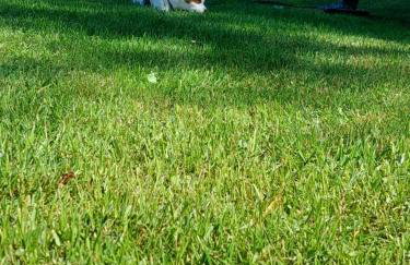 Domek nad Krutynią - Foto 21