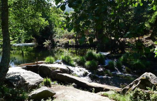 Casa de Ladreda - Foto 43