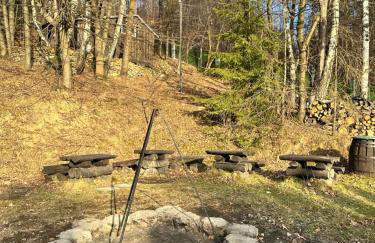 BUKOWA Jezioro Żywieckie Beskid Żywiecki Śląski Sauna Jacuzzi Kominek Morsowanie Tresna Żywiec Szczyrk - Foto 45