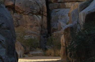 Neutra Home Joshua Tree Luxury Retreat Pool and Spa - Foto 23