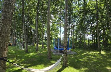 Domki Pod Olchowym Dachem Lubie - Foto 53