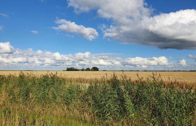 Bungalow in South Holland With Private Jetty - Foto 21
