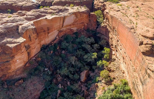 Kings Canyon and Outback Panoramas - Full-Day Small GroupTour - Foto 2