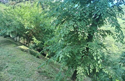 Bellavista Iseo - Foto 29