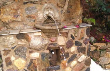 Residencia Pereira - Foto 20