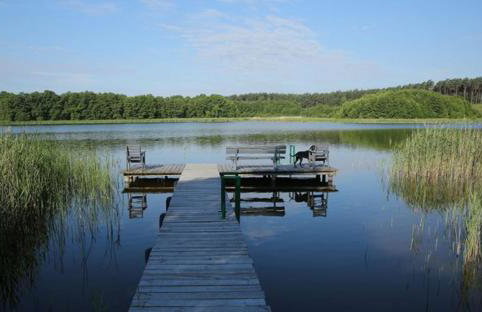 Domki nad jeziorem w Borach Tucholskich - Foto 18
