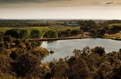 Herdade do Gamito - Foto 17